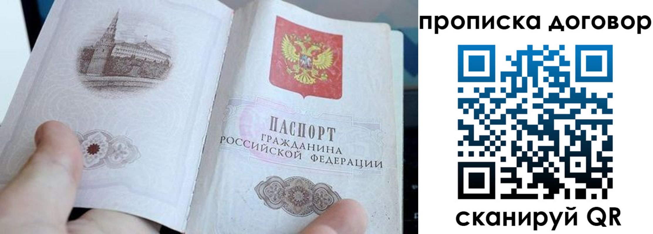 прописка законно в Елизово